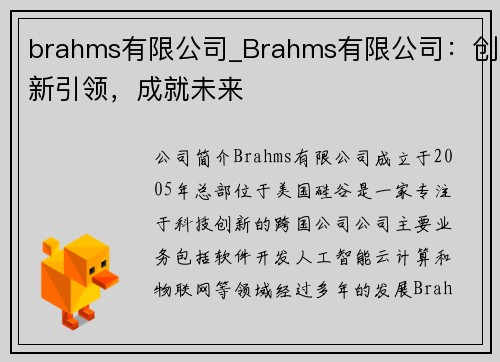 brahms有限公司_Brahms有限公司：创新引领，成就未来